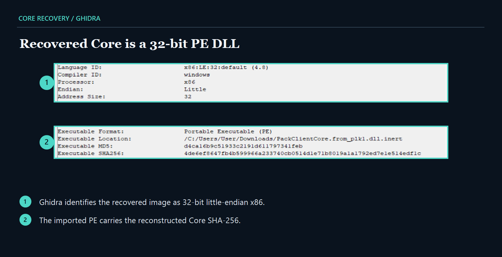 The recovered Core is a 32-bit x86 PE DLL.